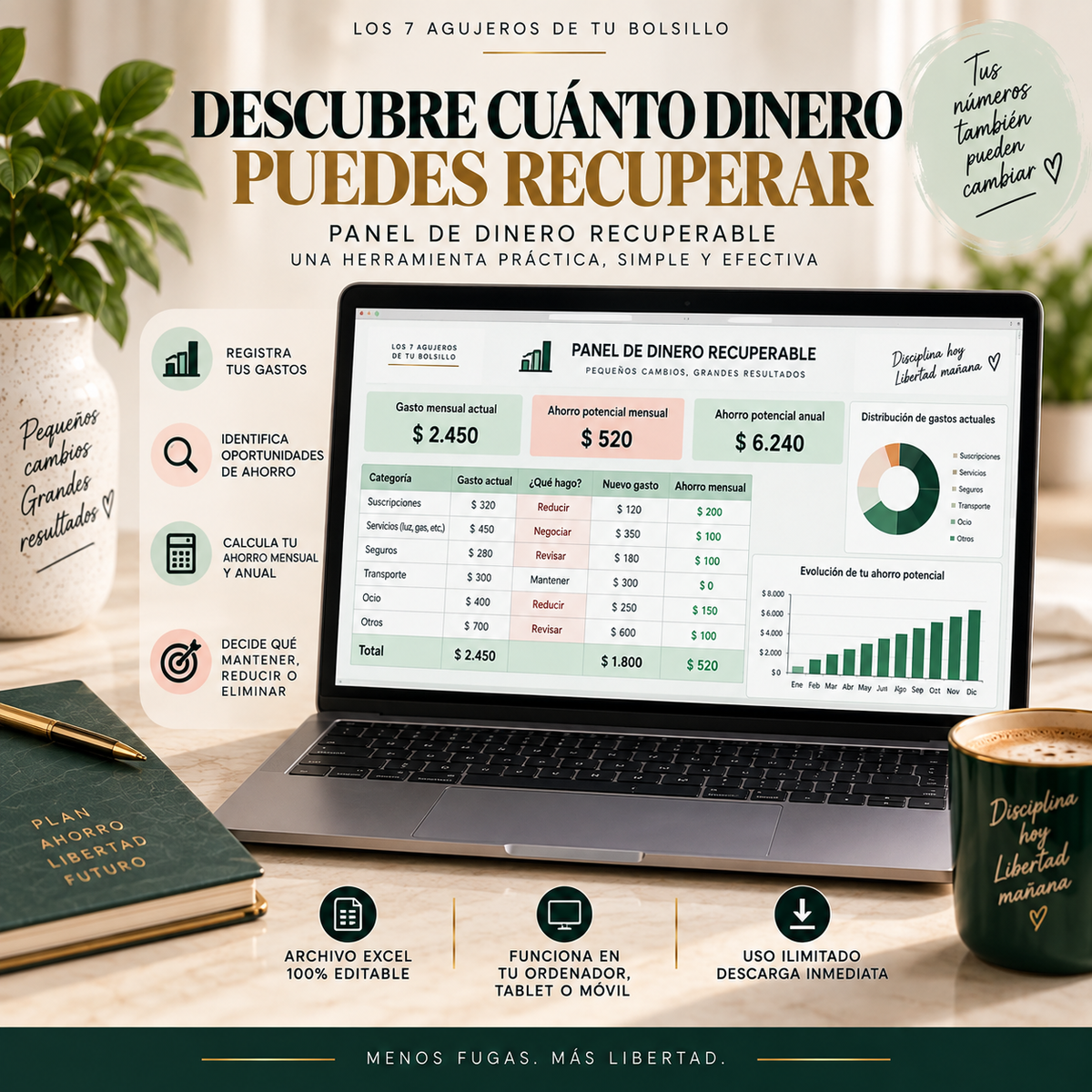 Los 7 Agujeros de tu Bolsillo — Sistema práctico para recuperar dinero que ya estás gastando.